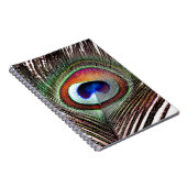 Farbenfrohe Kupfer Peacock Feaather Notizblock (Rechte Seite)