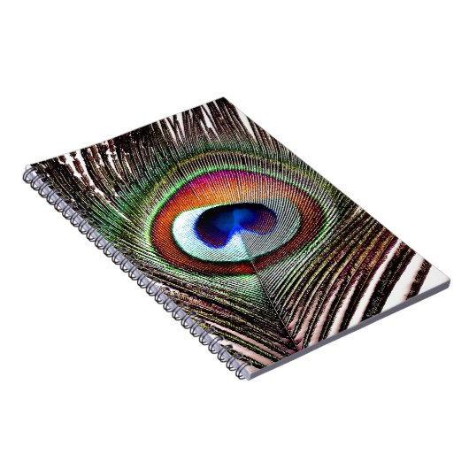 Farbenfrohe Kupfer Peacock Feaather Notizblock (Rechte Seite)