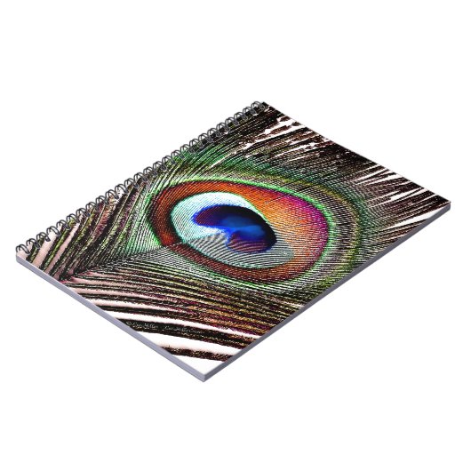 Farbenfrohe Kupfer Peacock Feaather Notizblock (Linke Seite)