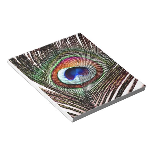 Farbenfrohe Kupfer Peacock Feaather Notizblock (angewinkelt)