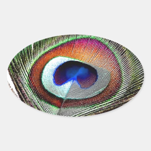 Farbenfrohe Kupfer Peacock Feaather Ovaler Aufkleber (Vorderseite)