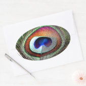 Farbenfrohe Kupfer Peacock Feaather Ovaler Aufkleber (Umschlag)