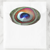 Farbenfrohe Kupfer Peacock Feaather Ovaler Aufkleber (Tasche)
