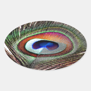 Farbenfrohe Kupfer Peacock Feaather Ovaler Aufkleber