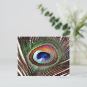 Farbenfrohe Kupfer Peacock Feaather Postkarte (Stehend Vorderseite)