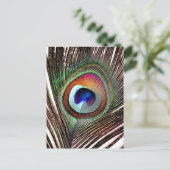 Farbenfrohe Kupfer Peacock Feaather Postkarte (Stehend Vorderseite)