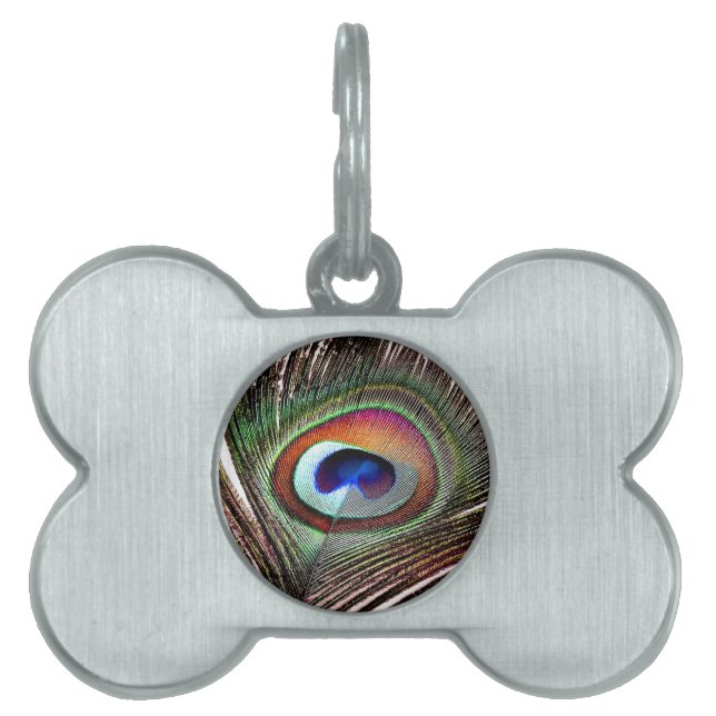 Farbenfrohe Kupfer Peacock Feaather Tiermarke (Vorderseite)