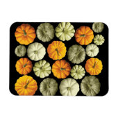 Farbenfrohe Kürbis Halloween Fall Pattern Magnet (Horizontal)