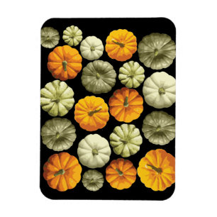 Farbenfrohe Kürbis Halloween Fall Pattern Magnet