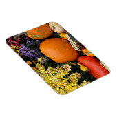 Farbenfrohe Kürbisanzeige Magnet (Rechte Seite)