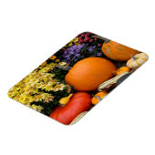 Farbenfrohe Kürbisanzeige Magnet (Linke Seite)