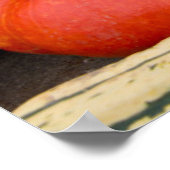 Farbenfrohe Kürbisanzeige Poster (Ecke)