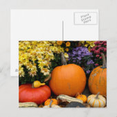 Farbenfrohe Kürbisanzeige Postkarte (Vorne/Hinten)