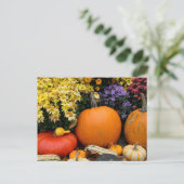 Farbenfrohe Kürbisanzeige Postkarte (Stehend Vorderseite)