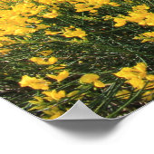 farbenfrohe Küste Poster (Ecke)