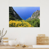 farbenfrohe Küste Poster (Küche)