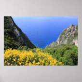 farbenfrohe Küste Poster (Vorne)