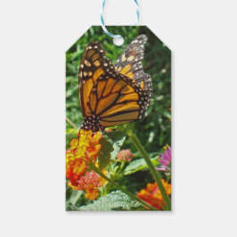 Farbenfrohe lebhafte Orange Monarch Butterfly Blum Geschenkanhänger