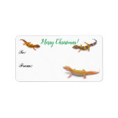Farbenfrohe Leopard Gecko Lizard Weihnachtsgeschen Adressaufkleber (Vorne)
