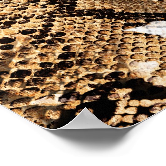 Farbenfrohe Leopard Zebra Camouflage Muster Poster (Ecke)