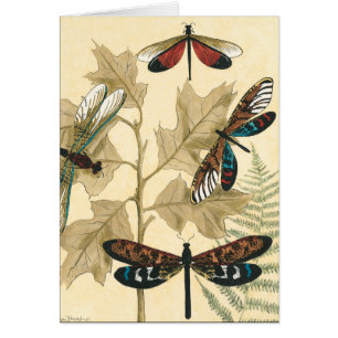 Farbenfrohe Libellen über den Blätter schweben