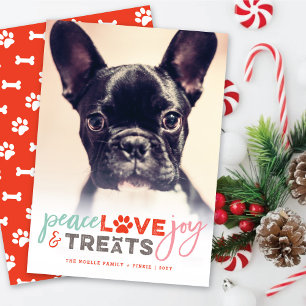 Farbenfrohe Liebe Freude Leckereien Hund Lover Fot Feiertagskarte