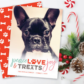 Farbenfrohe Liebe Freude Leckereien Hund Lover Fot Feiertagskarte
