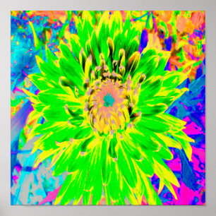 Farbenfrohe Limette Grün und Gelb blühende Dahlia Poster