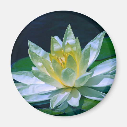 Farbenfrohe Lotus Magnet (Vorne)