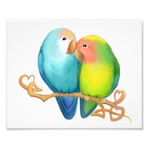 Farbenfrohe Lovebirds Fotodruck