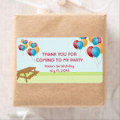 Farbenfrohe Luftballons für Picknick im Freien Gas (Insitu)