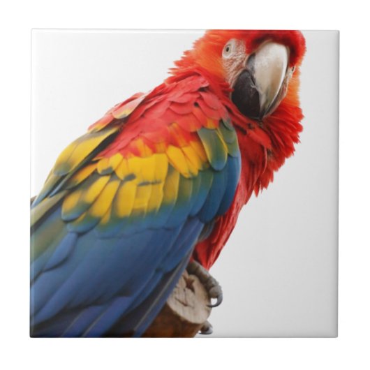 Farbenfrohe Macaw Chic Classy Mod Tropical Fliese (Vorderseite)