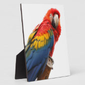 Farbenfrohe Macaw Chic Classy Mod Tropical Fotoplatte (Seite)