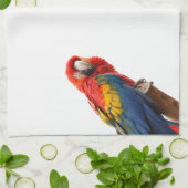 Farbenfrohe Macaw Chic Classy Mod Tropical Geschirrtuch (Gefaltet)