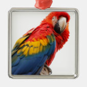 Farbenfrohe Macaw Chic Classy Mod Tropical Ornament Aus Metall (Vorne)