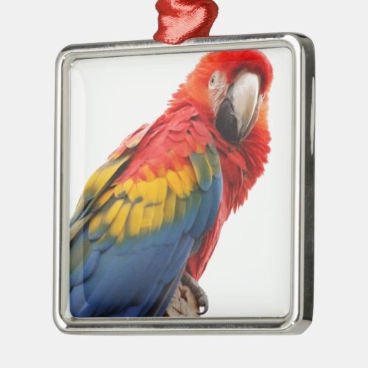 Farbenfrohe Macaw Chic Classy Mod Tropical Ornament Aus Metall (Links)