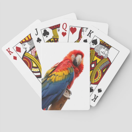 Farbenfrohe Macaw Chic Classy Mod Tropical Spielkarten (Rückseite)