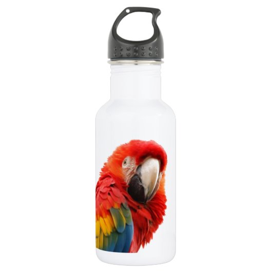 Farbenfrohe Macaw Chic Classy Mod Tropical Trinkflasche (Vorderseite)