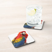 Farbenfrohe Macaw Chic Classy Mod Tropical Untersetzer (Rechte Seite)