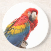 Farbenfrohe Macaw Chic Classy Mod Tropical Untersetzer (Vorne)