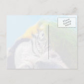 Farbenfrohe Macaw Face Postcard Postkarte (Rückseite)