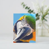 Farbenfrohe Macaw Face Postcard Postkarte (Stehend Vorderseite)