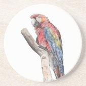 Farbenfrohe Macaw Parrot Watercolor Getränkeuntersetzer (Vorne)
