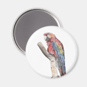 Farbenfrohe Macaw Parrot Watercolor Magnet (Vorderseite/Rückseite)