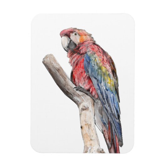 Farbenfrohe Macaw Parrot Watercolor Magnet (Vertikal)