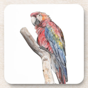 Farbenfrohe Macaw Parrot Watercolor Untersetzer