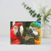 Farbenfrohe Macaws, Trinidad Postcard Postkarte (Stehend Vorderseite)