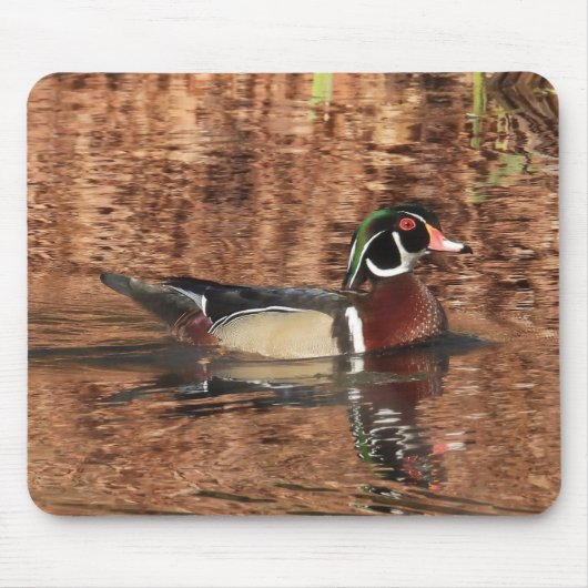 Farbenfrohe männliche Holzente Mousepad (Vorne)