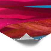 Farbenfrohe Mantis Poster (Ecke)