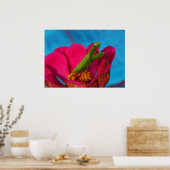 Farbenfrohe Mantis Poster (Küche)
